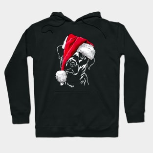 Santa Labrador Merry Christmas dog lab mom Hoodie